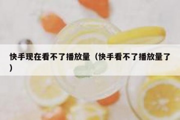 快手现在看不了播放量（快手看不了播放量了）