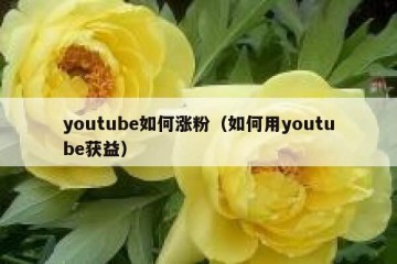 youtube如何涨粉（如何用youtube获益）