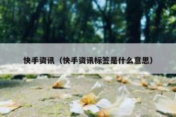 快手资讯（快手资讯标签是什么意思）