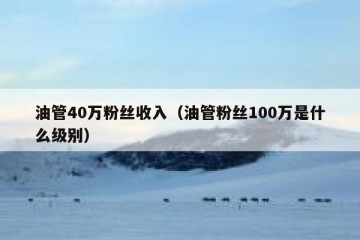 油管40万粉丝收入（油管粉丝100万是什么级别）