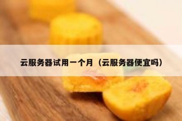 云服务器试用一个月（云服务器便宜吗）