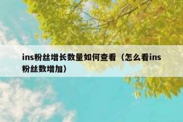 ins粉丝增长数量如何查看（怎么看ins粉丝数增加）