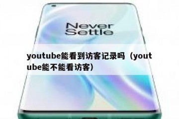youtube能看到访客记录吗（youtube能不能看访客）