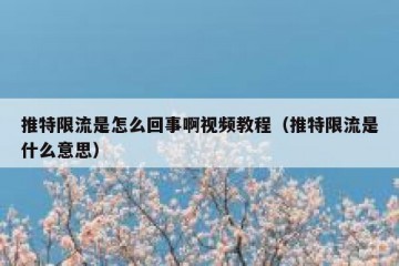 推特限流是怎么回事啊视频教程（推特限流是什么意思）