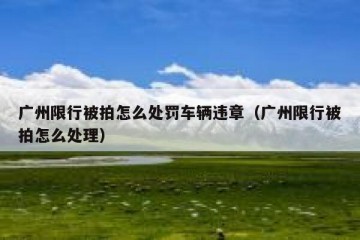 广州限行被拍怎么处罚车辆违章（广州限行被拍怎么处理）