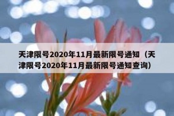 天津限号2020年11月最新限号通知（天津限号2020年11月最新限号通知查询）