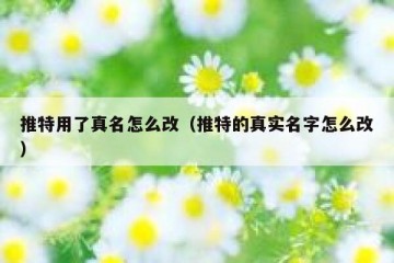 推特用了真名怎么改（推特的真实名字怎么改）