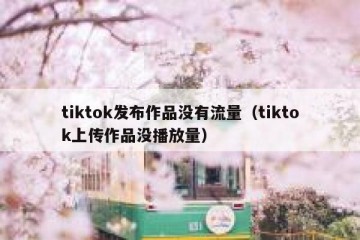 tiktok发布作品没有流量（tiktok上传作品没播放量）
