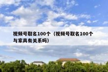 视频号取名100个（视频号取名100个 与家具有关系吗）