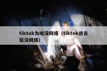 tiktok为啥没网络（tiktok进去后没网络）