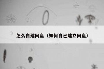 怎么自建网盘（如何自己建立网盘）