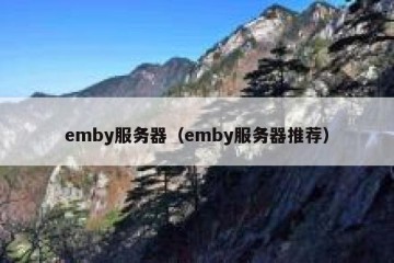 emby服务器（emby服务器推荐）