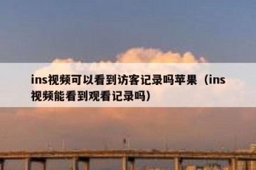 ins视频可以看到访客记录吗苹果（ins视频能看到观看记录吗）