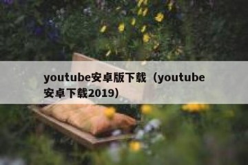 youtube安卓版下载（youtube安卓下载2019）