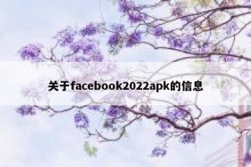 关于facebook2022apk的信息