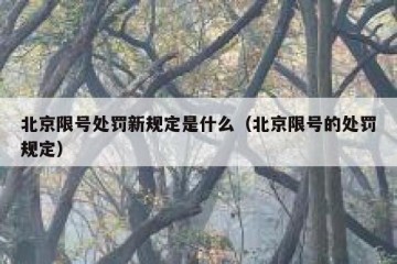 北京限号处罚新规定是什么（北京限号的处罚规定）