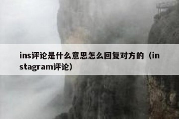 ins评论是什么意思怎么回复对方的（instagram评论）