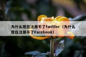 为什么现在注册不了twitter（为什么现在注册不了Facebook）