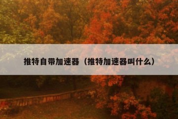 推特自带加速器（推特加速器叫什么）