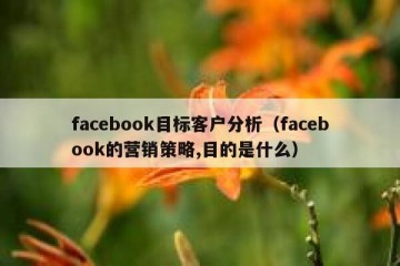 facebook目标客户分析（facebook的营销策略,目的是什么）