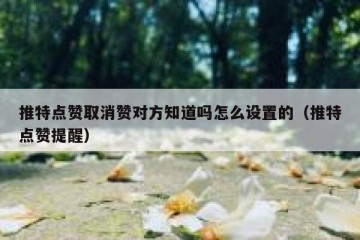 推特点赞取消赞对方知道吗怎么设置的（推特点赞提醒）