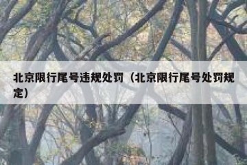 北京限行尾号违规处罚（北京限行尾号处罚规定）