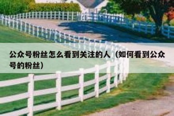 公众号粉丝怎么看到关注的人（如何看到公众号的粉丝）