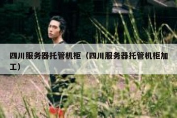 四川服务器托管机柜（四川服务器托管机柜加工）