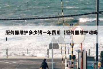 服务器维护多少钱一年费用（服务器维护难吗）