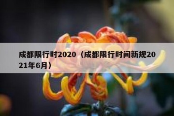 成都限行时2020（成都限行时间新规2021年6月）