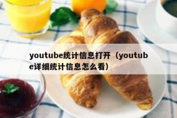 youtube统计信息打开（youtube详细统计信息怎么看）