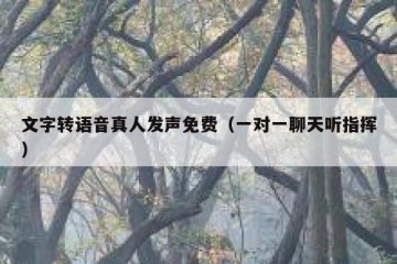 文字转语音真人发声免费（一对一聊天听指挥）