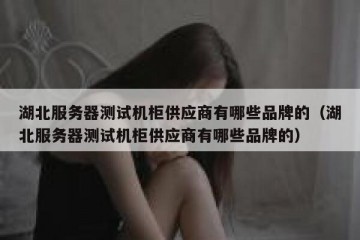 湖北服务器测试机柜供应商有哪些品牌的（湖北服务器测试机柜供应商有哪些品牌的）