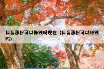 抖音涨粉可以挣钱吗现在（抖音涨粉可以赚钱吗）