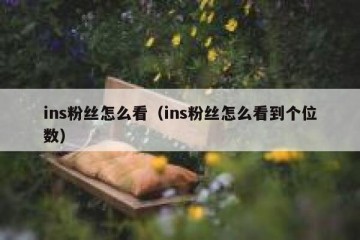 ins粉丝怎么看（ins粉丝怎么看到个位数）