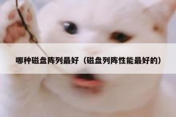 哪种磁盘阵列最好（磁盘列阵性能最好的）