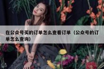 在公众号买的订单怎么查看订单（公众号的订单怎么查询）