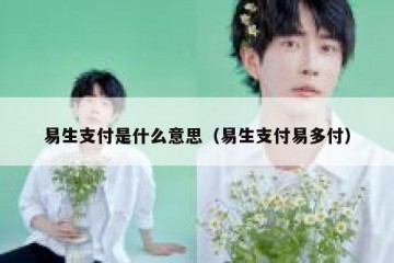 易生支付是什么意思（易生支付易多付）