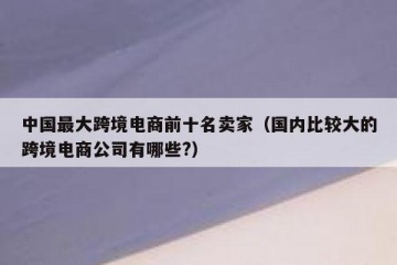 中国最大跨境电商前十名卖家（国内比较大的跨境电商公司有哪些?）