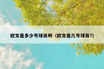 欧文是多少号球员啊（欧文是几号球员?）