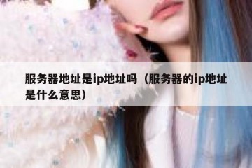 服务器地址是ip地址吗（服务器的ip地址是什么意思）