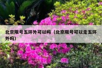 北京限号五环外可以吗（北京限号可以走五环外吗）