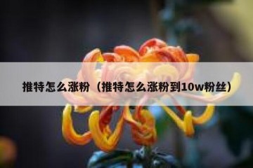 推特怎么涨粉（推特怎么涨粉到10w粉丝）