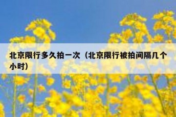北京限行多久拍一次（北京限行被拍间隔几个小时）
