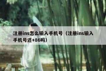 注册ins怎么输入手机号（注册ins输入手机号还+86吗）