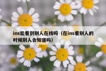 ins能看到别人在线吗（在ins看别人的时候别人会知道吗）