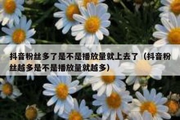 抖音粉丝多了是不是播放量就上去了（抖音粉丝越多是不是播放量就越多）