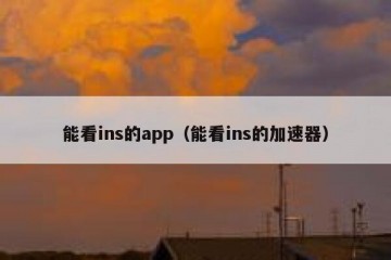能看ins的app（能看ins的加速器）