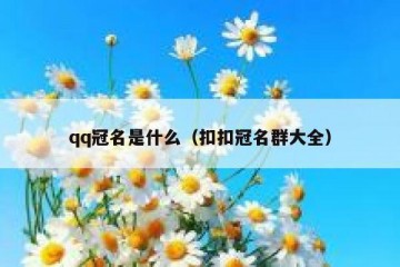 qq冠名是什么（扣扣冠名群大全）