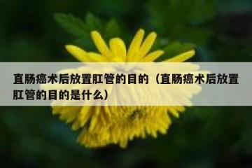 直肠癌术后放置肛管的目的（直肠癌术后放置肛管的目的是什么）